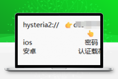 hysteria2安卓使用教程-李小白